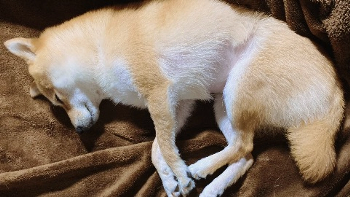 抗がん剤4回目投与、その後