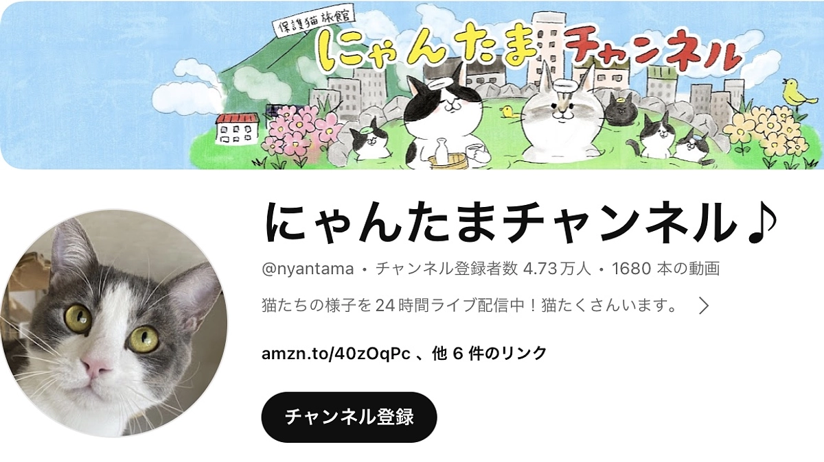 YouTubeにてLive配信を行います。