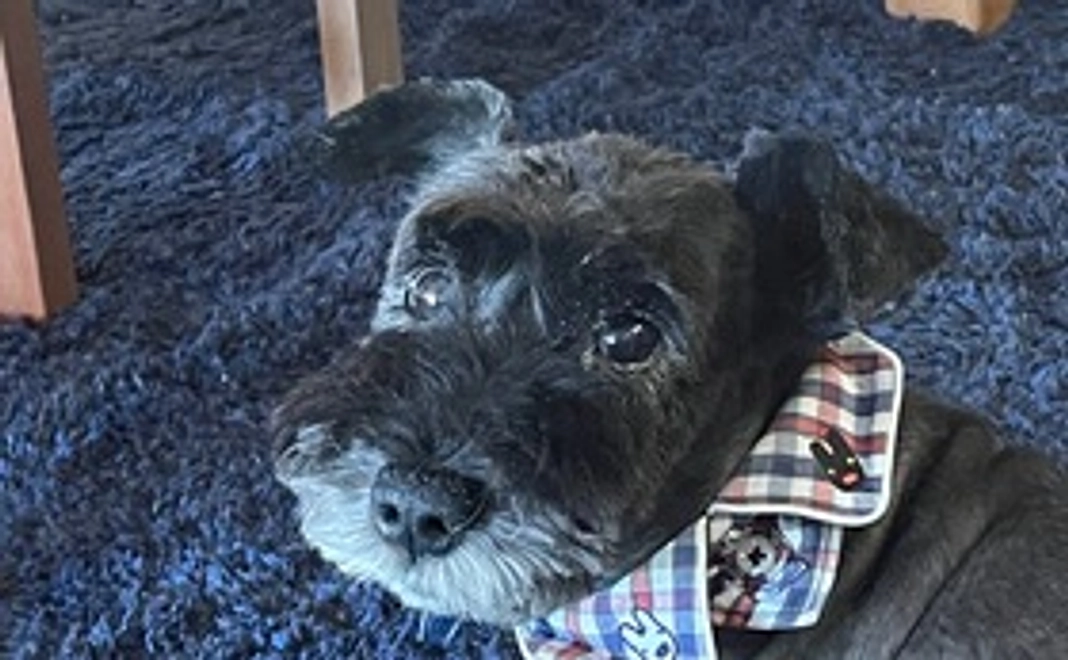 アーモンドへのご支援２