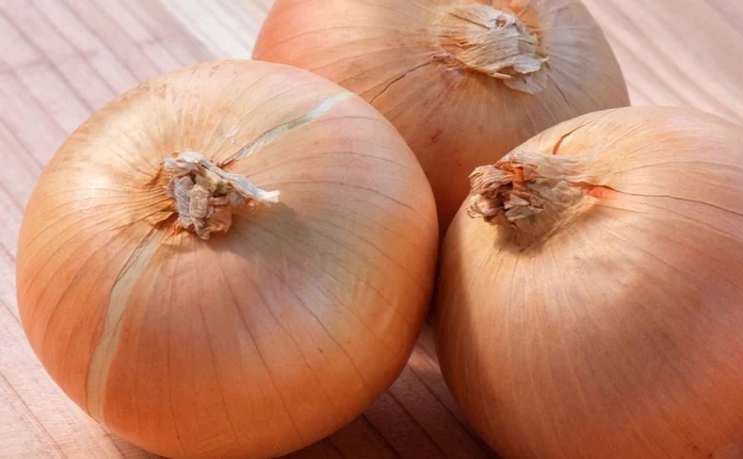 お礼のメールと淡路島産玉ねぎ