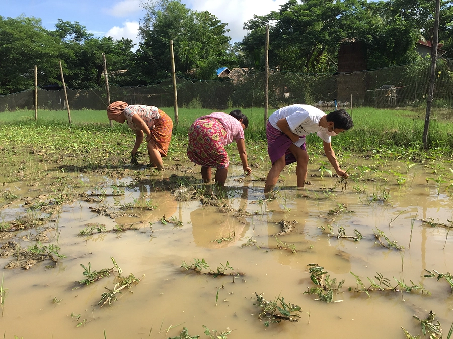 サポーターさんの声～医療と菜園をセットにして根本的な解決を目指している