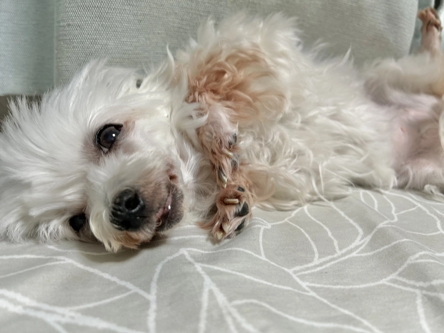 達成させていただきありがとうございます。