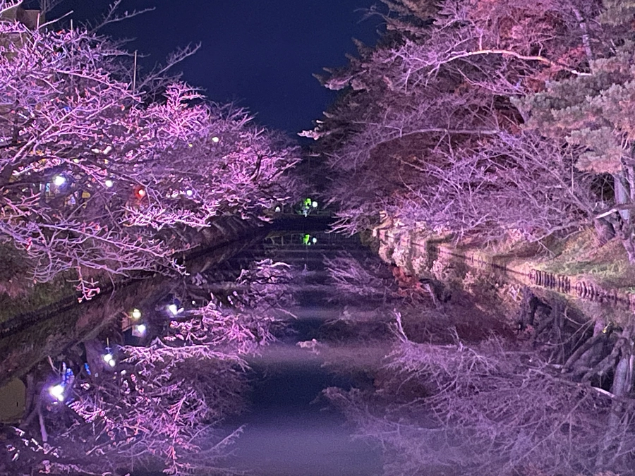 プレ試験点灯(？)を行いました！