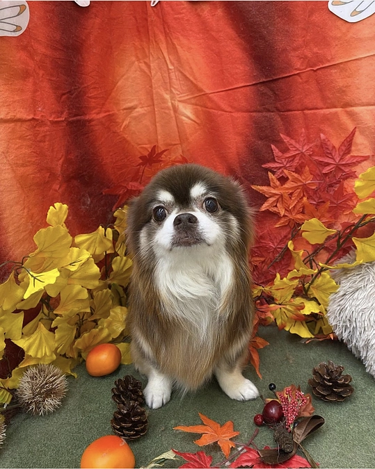 今日は2ヶ月ぶりのシャンプー