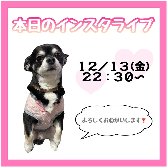 本日のライブ予定