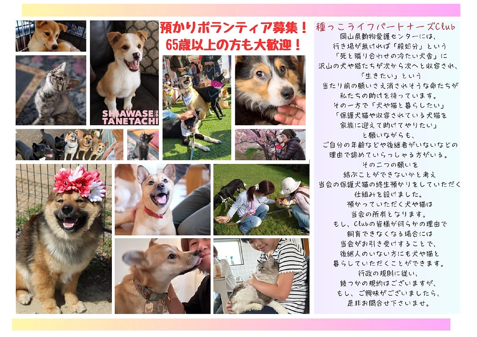 ライフパートナーズclubのお知らせと継続寄付のお願い