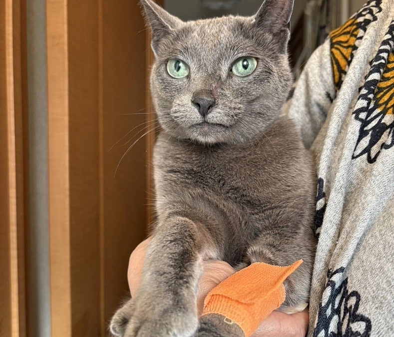 ２回目放射線治療をしてきました。