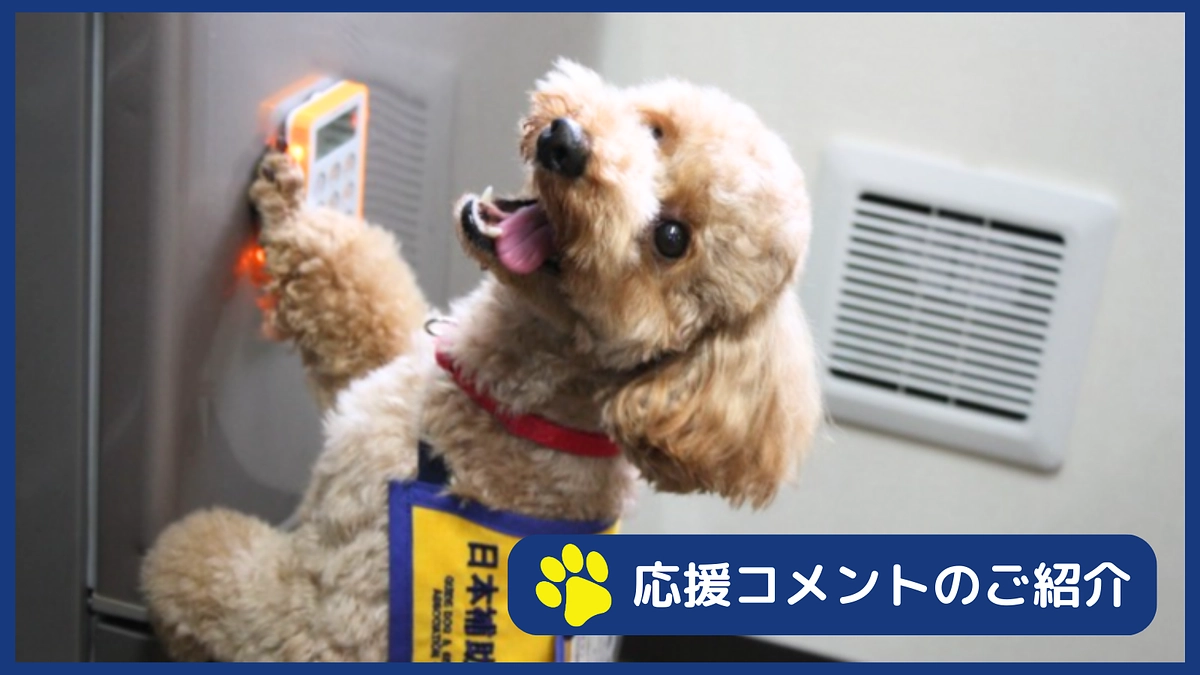 応援コメントのご紹介②