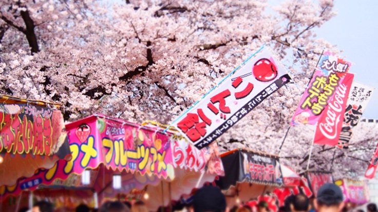 河津桜まつりで無農薬野菜と無添加味噌の飲食店をやりたい！