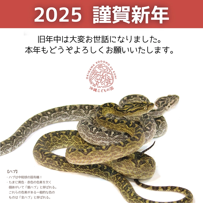新年のご挨拶