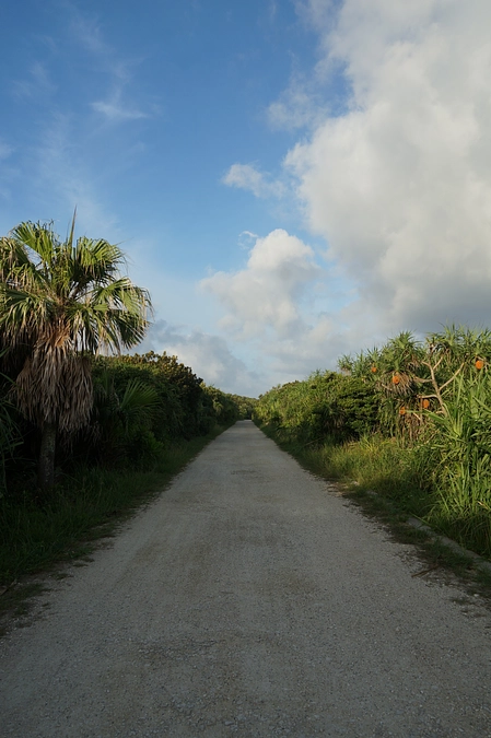事前調査を実施しました（6月）