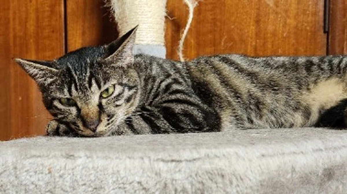 楓日記(9月13日)