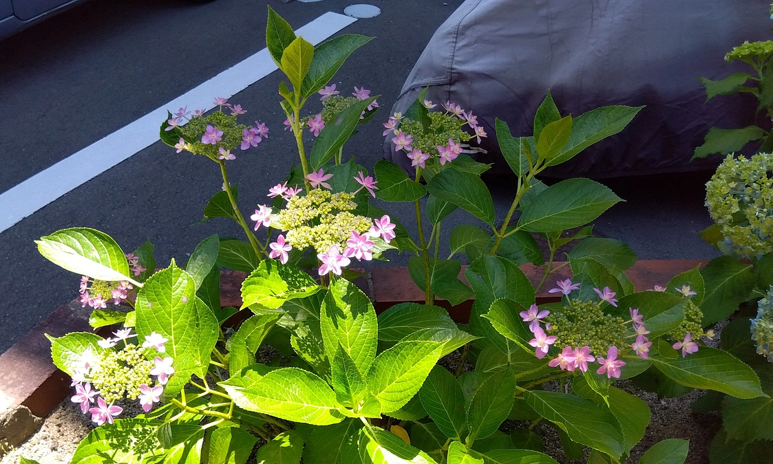 第26回目21888円のご支援金を頂戴致しました✨🙌💞🙏