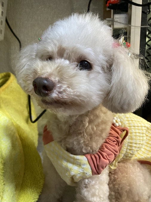 術前検査に行ってきました