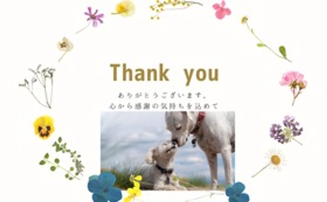 弊社商品にお使い頂けるオンラインショップ20%オフクーポン