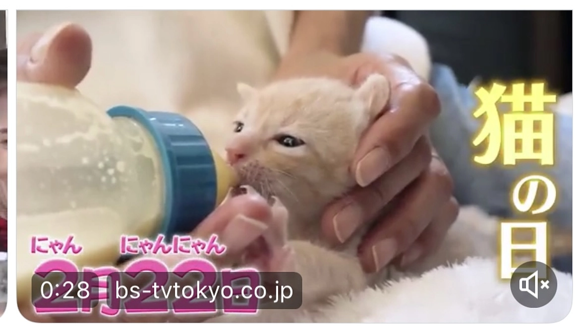 本日TV放送されます！！