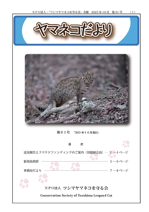 ヤマネコだより91号(2025年10月号)を発行しました