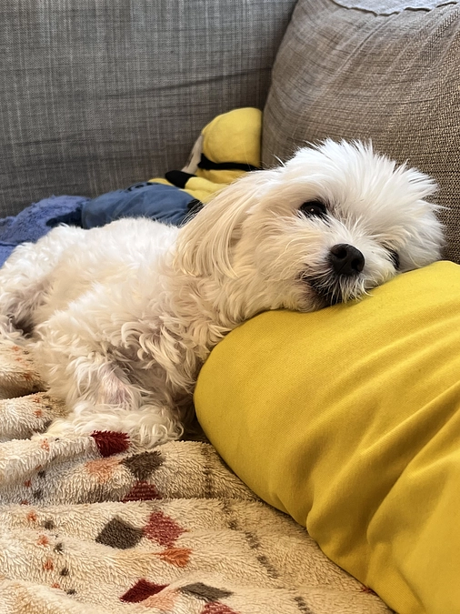 来週は1ヶ月検診があります