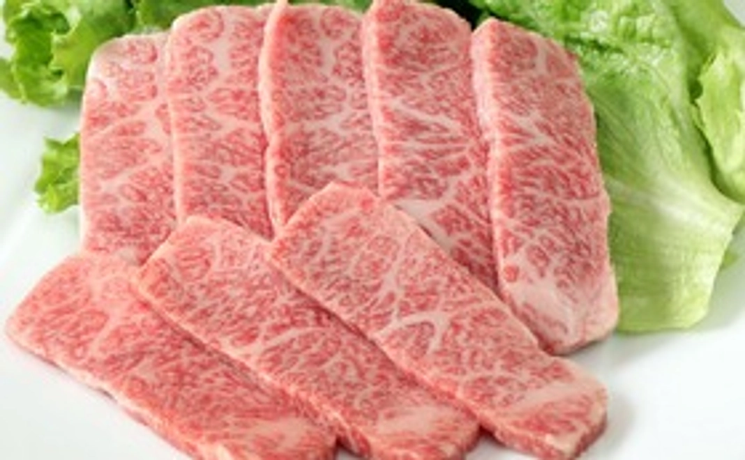 5名様分の入場料を無料チケット+サンカクカルビ（特上カルビ）1人前無料