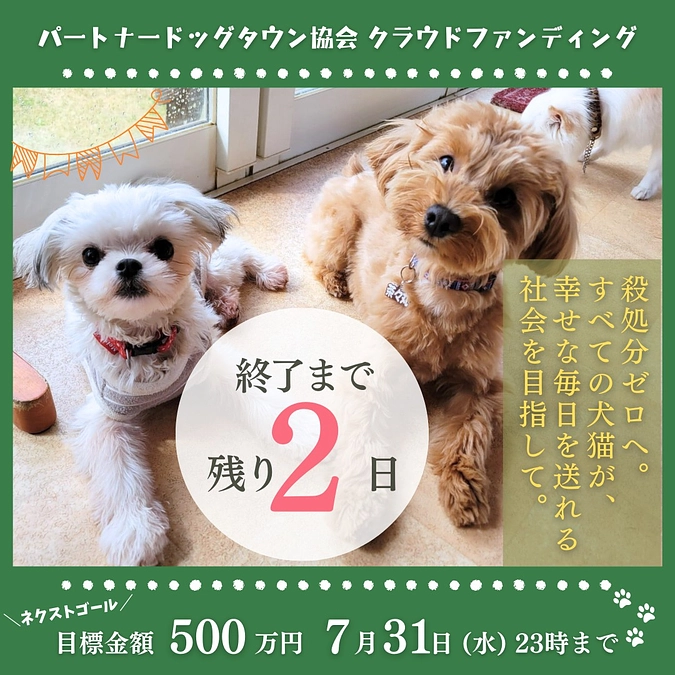 【クラファン終了まで2日】これまで理事長の望月がやってきた動物愛護活動
