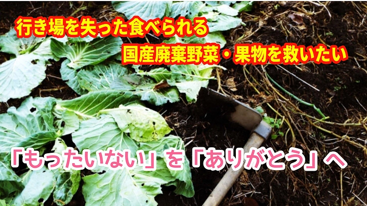 行き場を失った食べられる国産廃棄野菜、果物を救いたい