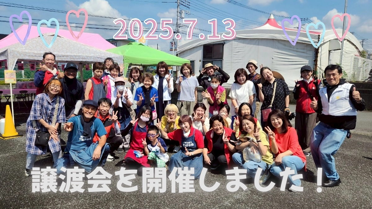 7/13 にゃんこ譲渡会を開催しました！