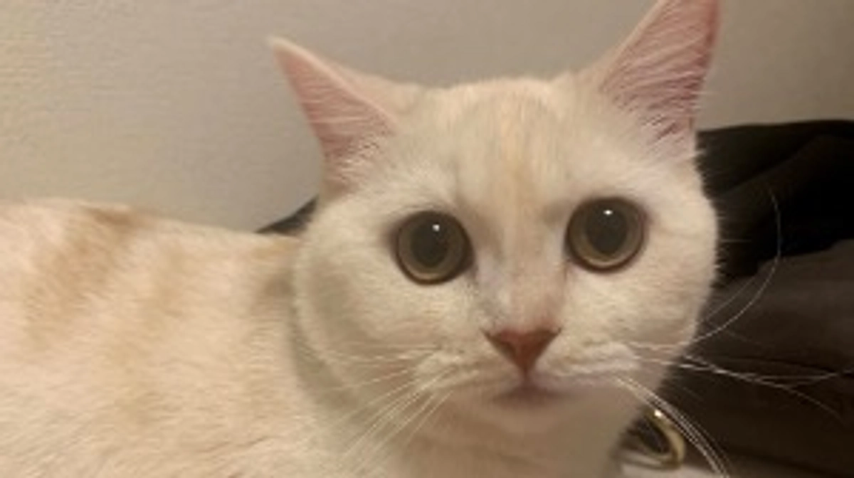 達成率10%になりました！&近況報告