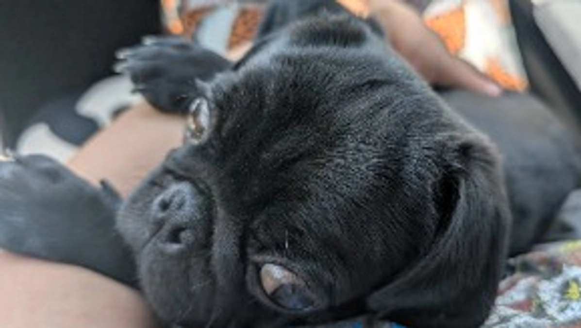 通院日ですが事故渋滞😭
