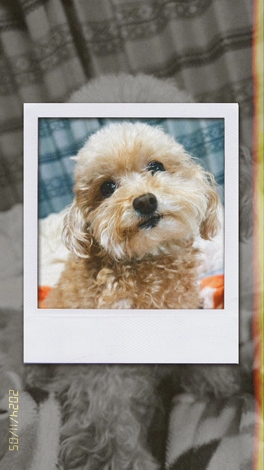 少しだけ気分転換にお出かけ