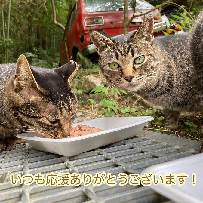 継続寄付8月分収支報告