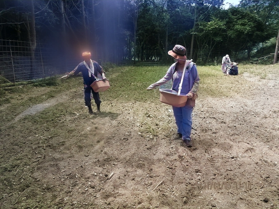 そば捲きを行いました