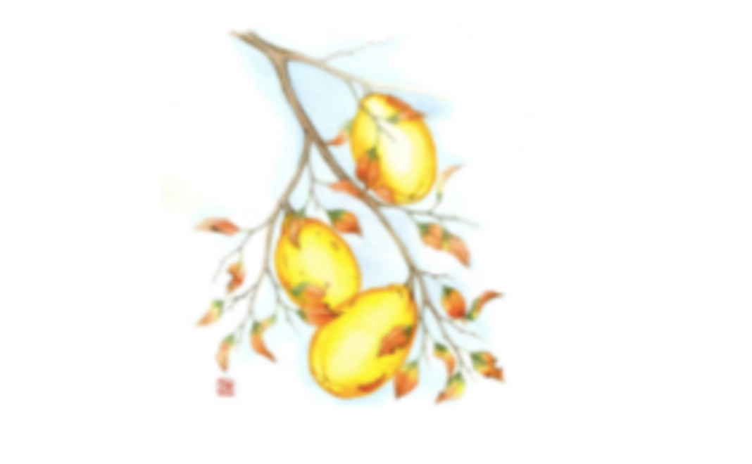 【気軽に応援】あなたのご支援が力になります！