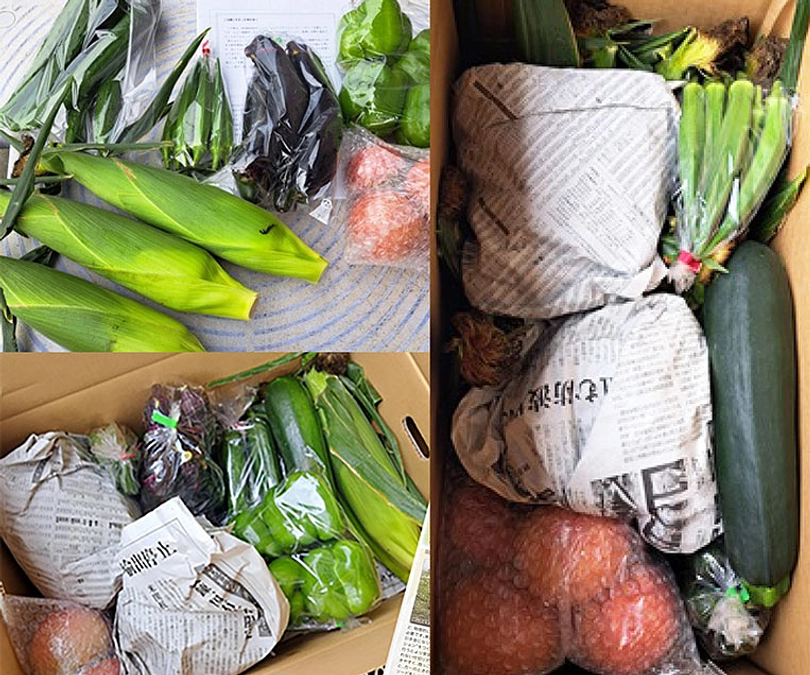 リターンのお知らせ5　野菜セット、おだしの美味香 を発送いたしました