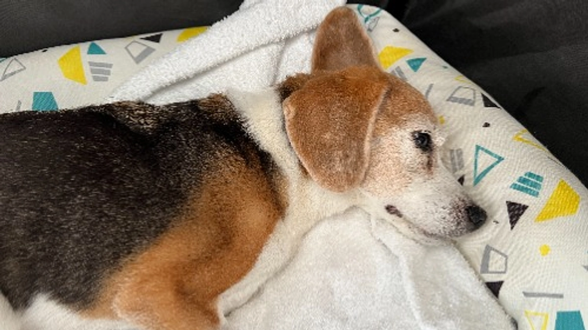 11/12 本当のターミナルケア。