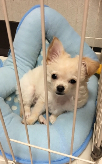 お腹が空いているようでした…。。