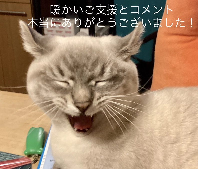 本日が最終日となりました。