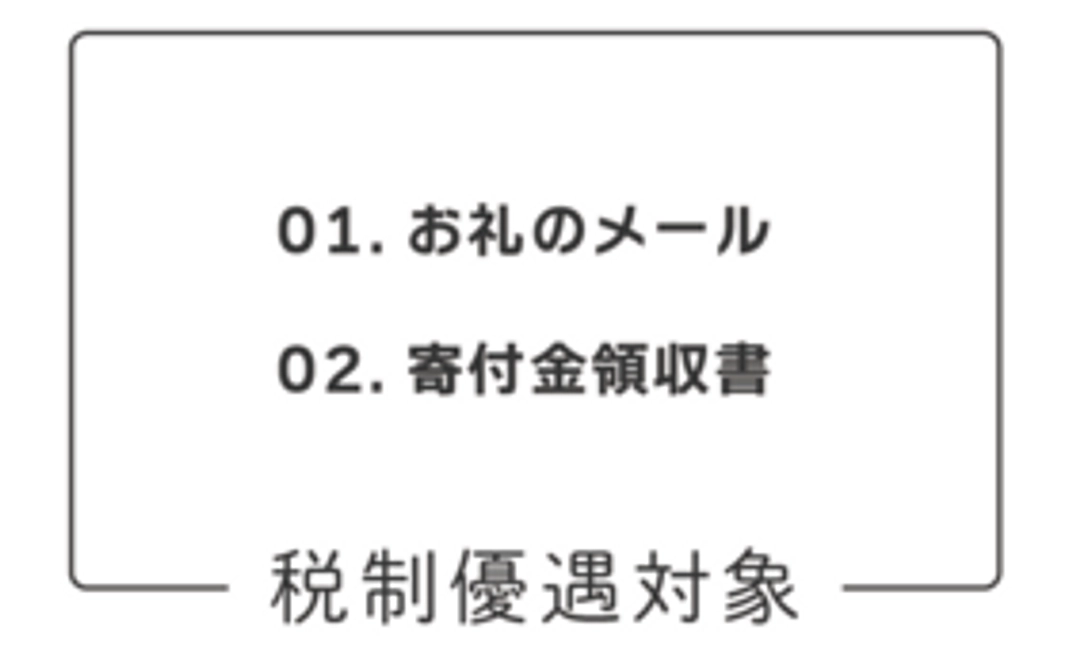 リターン不要 ｜ 3,000円