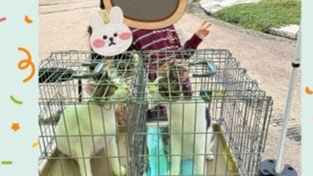 【目指せ17日までに1600万円！】終了まであと11日。トラック譲渡会を開催しました！