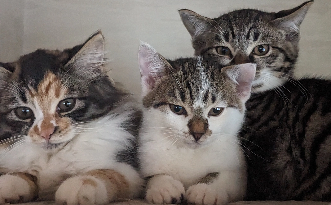 ありがとうございます✨