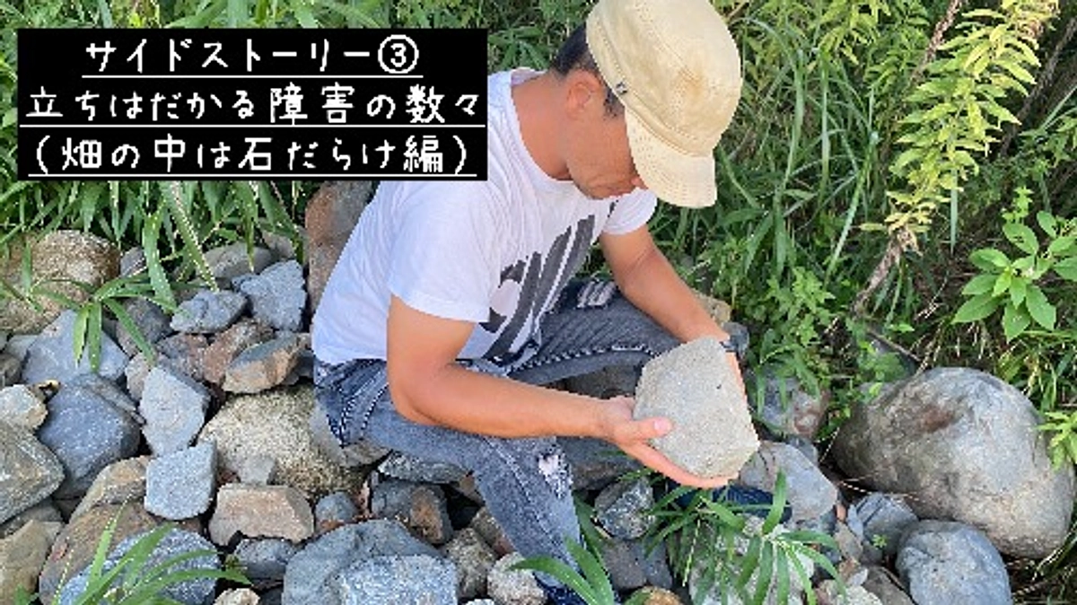 サイドストーリー③立ちはだかる障害の数々（畑の中は石だらけ編）