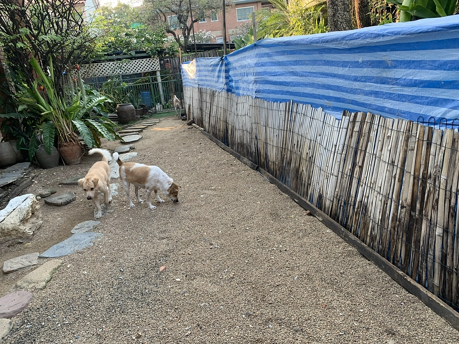 フォスターホーム庭の壁位置変更工事