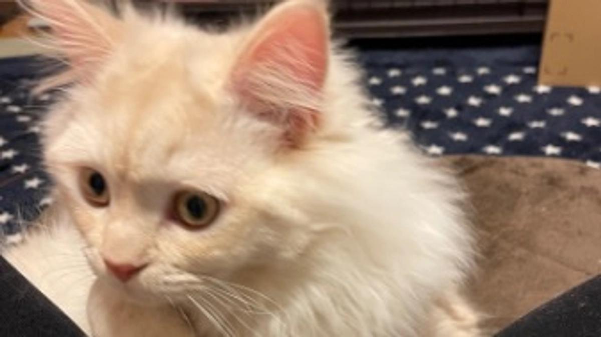 ご支援いただきありがとうございます！