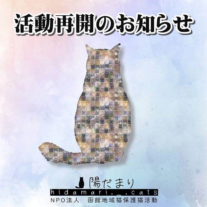 活動再開のご報告