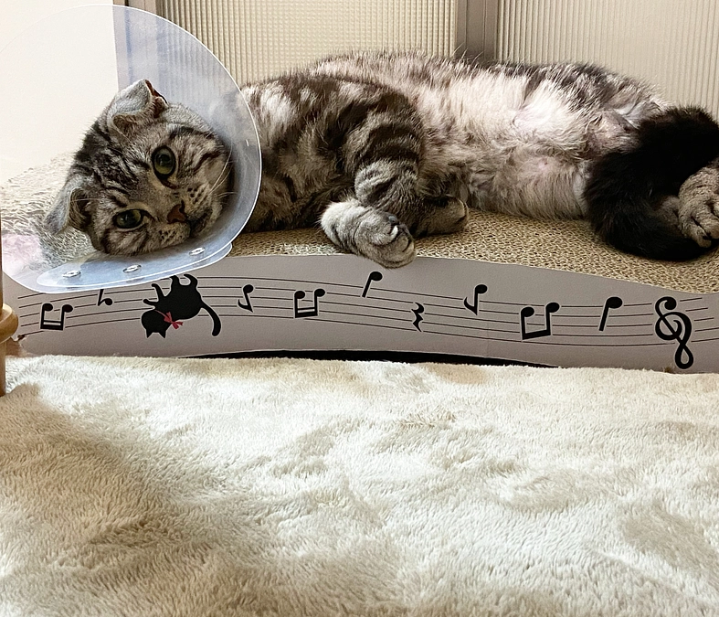 2023.6.20🔥 #闘病生活 63日目🔥