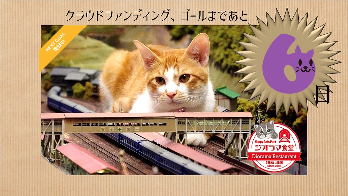 あと６日、皆様のご支援心より感謝いたします。
