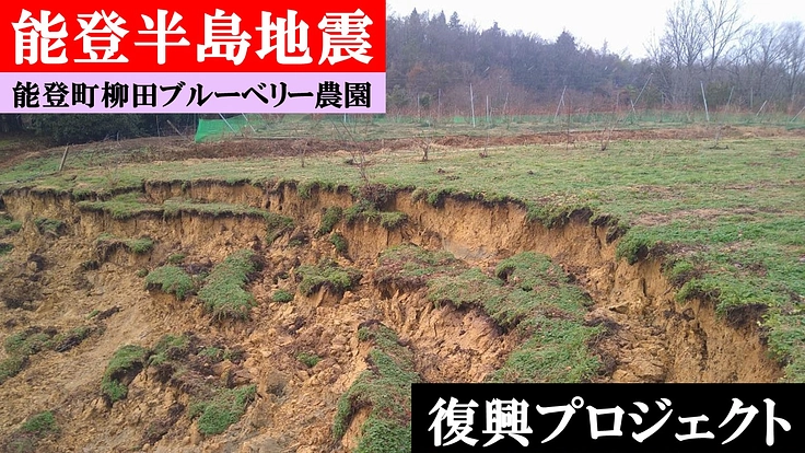 【能登半島地震】祖父母の代から続くブルーベリー産業を次の世代に！