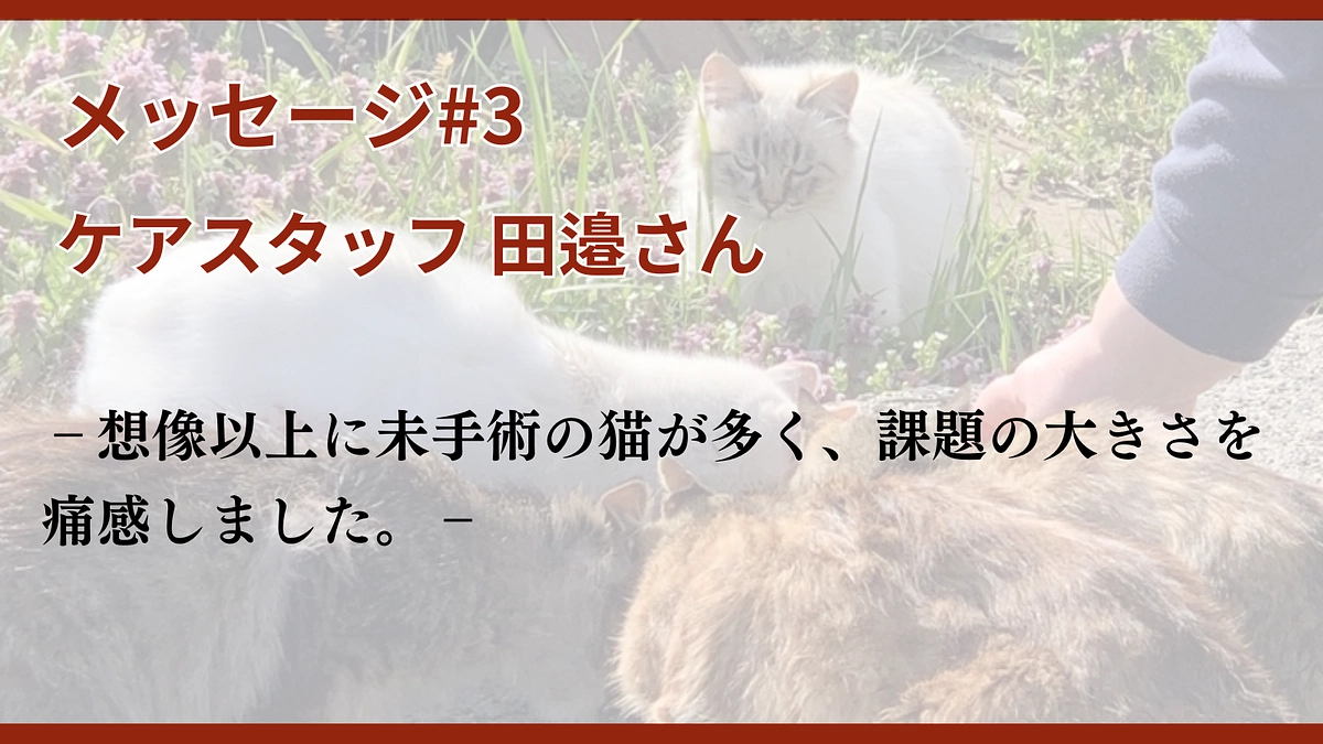 メッセージ#3 ケアスタッフ田邉さん