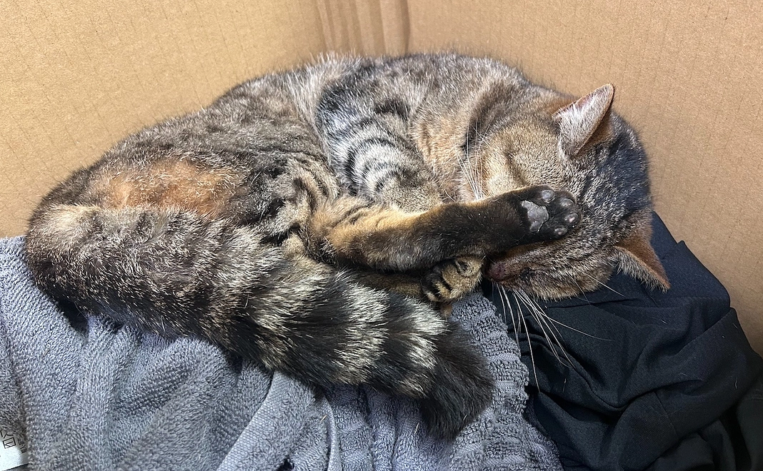 感謝のメールと活動報告1