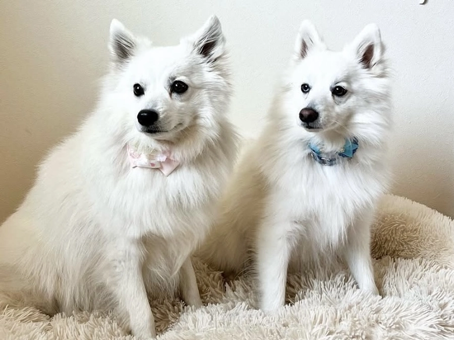 衆議院議員 河野太郎様からの応援メッセージ