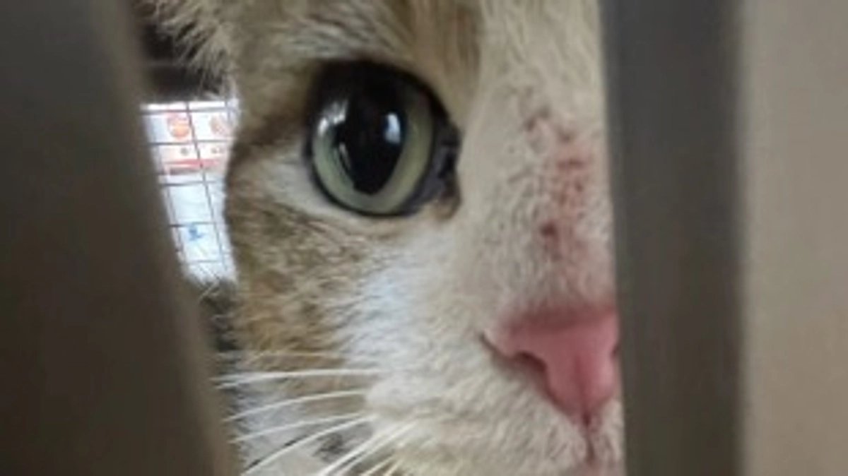 皆さん応援ありがとうございます。